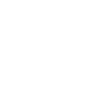 Salop Teaching School Logo